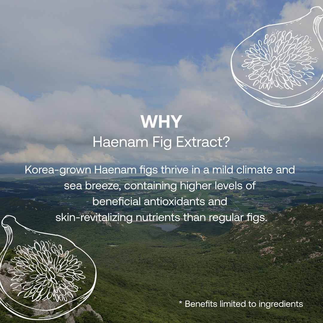 Haenam Fig Dark Spot Patches (6 Patches)