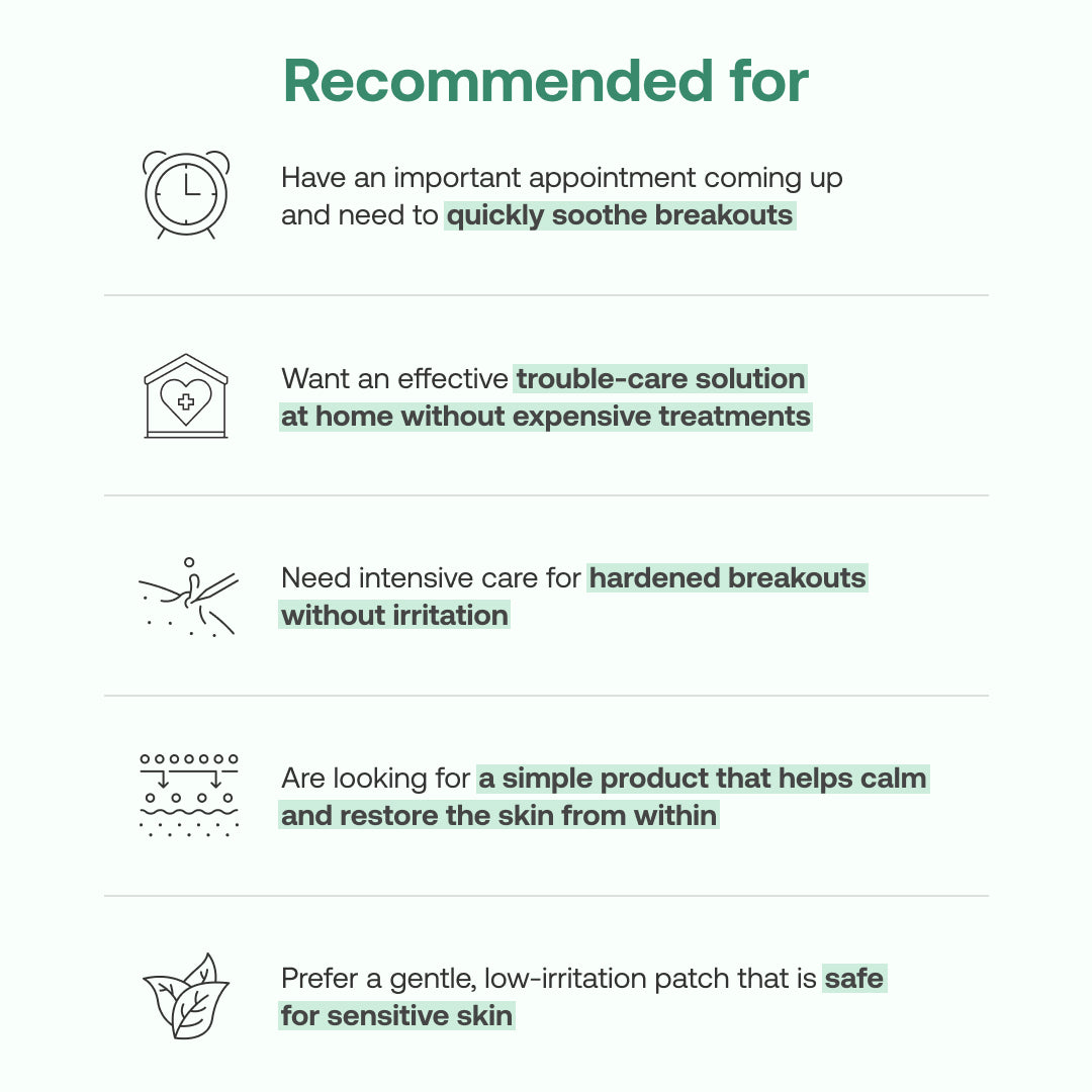 Yangyang Pine Quick Calming Spot Patch (12 Patches)